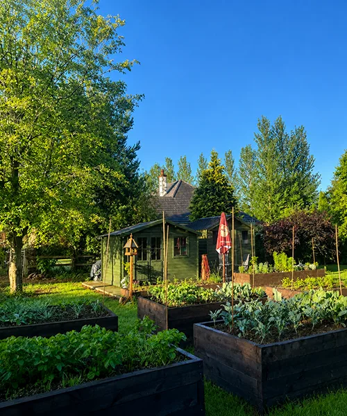Organic Garden